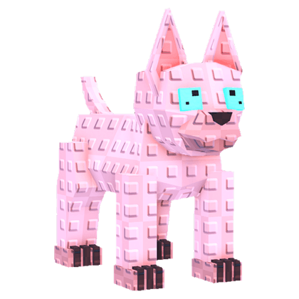 Sphynx Cat