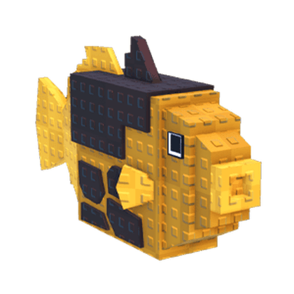 Trigger Fish