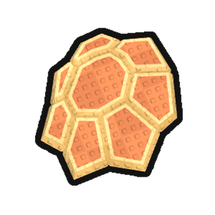 Turtle Shell Fossil