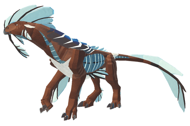 Gloracus