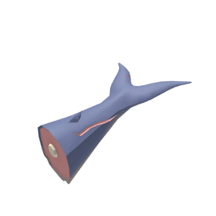 Blue Whale Bobber