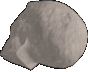 Skeleton