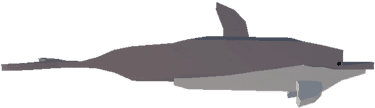 Dolphin