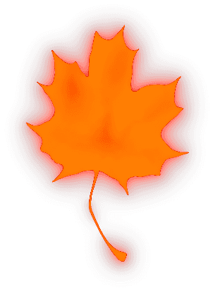 Leafy Lantern