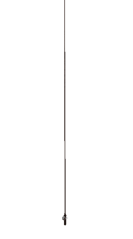 The Longest One