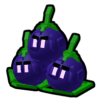 Blueberries