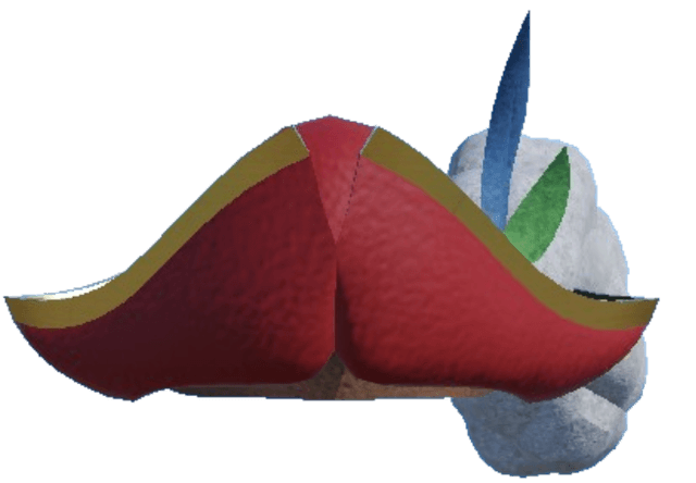 Roger's Hat