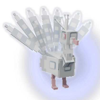 Albino Peacock