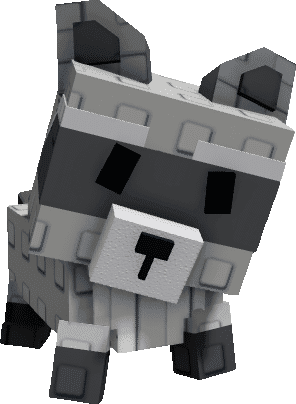 Raccoon