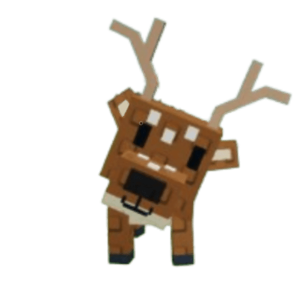 Spotted Deer