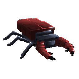 Stag Beetle