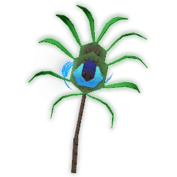 Peacock Tail