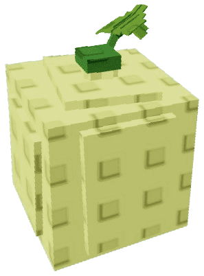 Cantaloupe