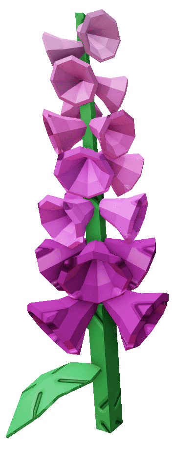 Foxglove