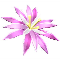 Paradise Petal