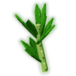 Parsley