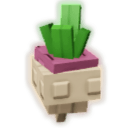 Turnip