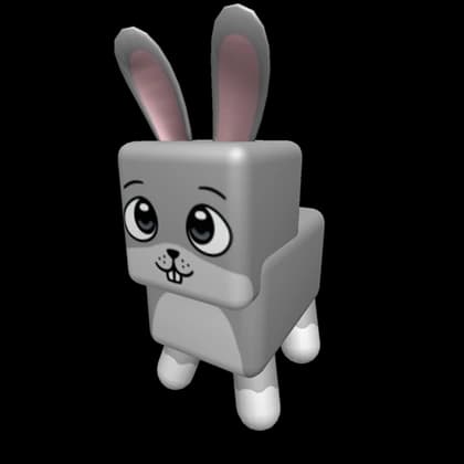 Bunny