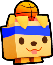 Basketball Retriever