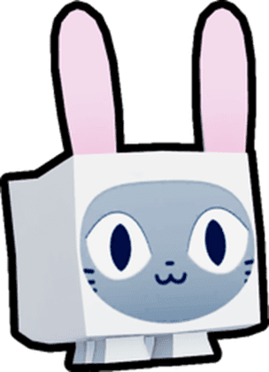 Bunny Cat