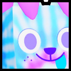 Tiedye Dog
