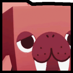 Walrus
