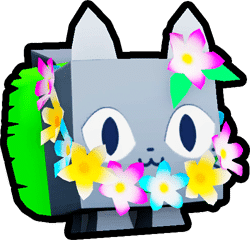 Luau Cat