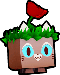 Rose Garden Cat