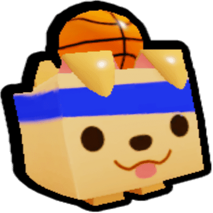 Basketball Retriever