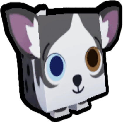 Bluey Chihuahua