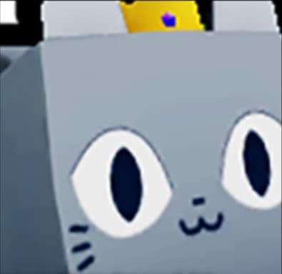 Huge Crowned Cat