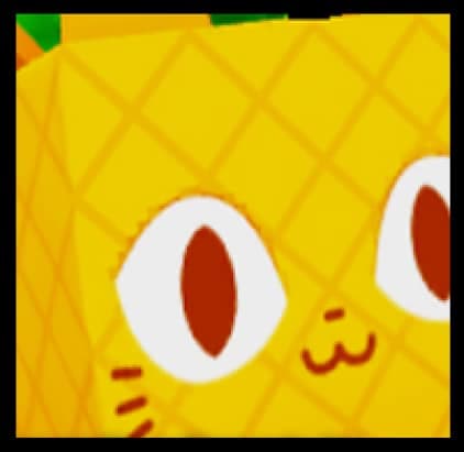 Huge Pineapple Cat