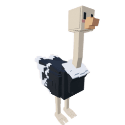 Ostrich