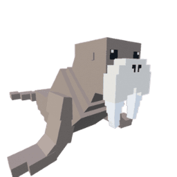 Walrus