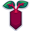 Beetroot