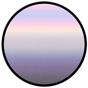 Whimsy Wool Palette