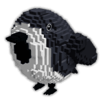 Birb