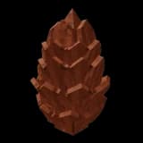 Conifer Cone