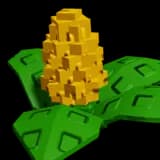 Corn
