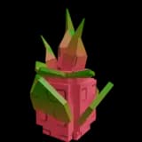 Dragon Fruit