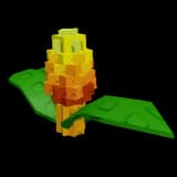Maple Corn