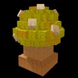 Maple Mushroom