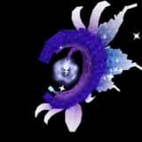 Moon Bloom