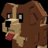 Big Dog