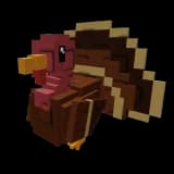 Rainbow Turkey
