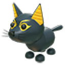 Abyssinian Cat
