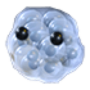 Frogspawn