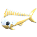 Gold Mahi Mahi