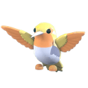 Golden Hummingbird