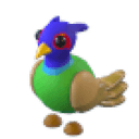 Green-Chested Pheasant